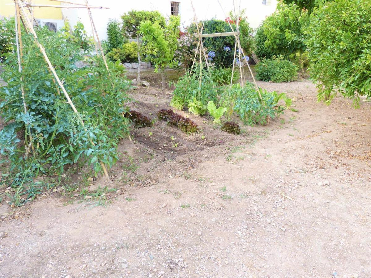 Hort De La Cinteta Villa Alcover Exterior foto