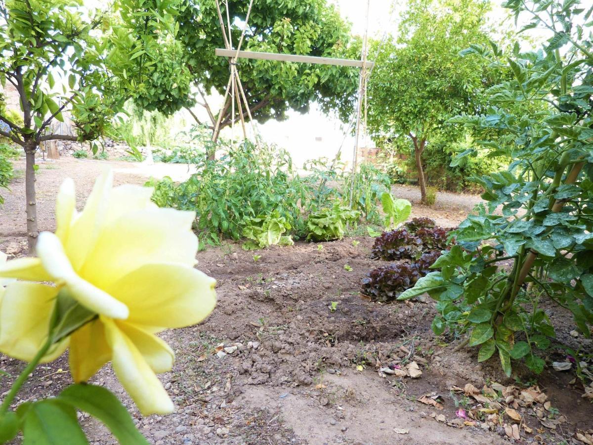Hort De La Cinteta Villa Alcover Exterior foto